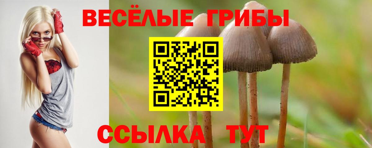 Карпинск  Псилоцибиновые грибы Magic Shrooms  Псилоцибиновые грибы Magic Shrooms  Вход с VPN 